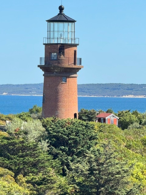 brown lighthouse in maine